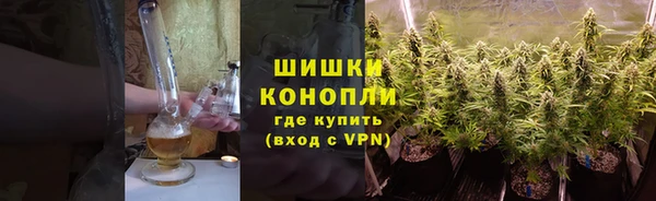 крисы Бугульма