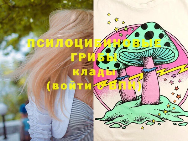 крисы Бугульма