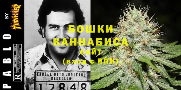 крисы Бугульма