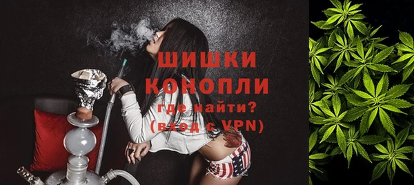 крисы Бугульма