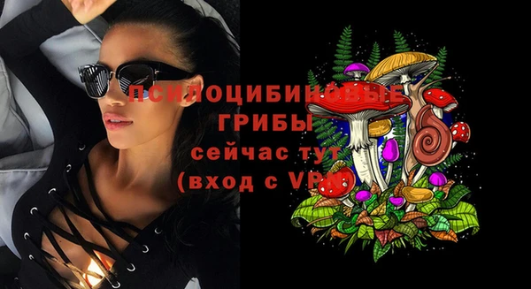 первитин Бородино